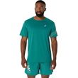mployza asics icon ss top prasini photo