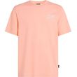 mployza o neill box logo t shirt korali photo