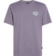 mployza o neill box logo t shirt mob photo