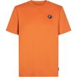 mployza o neill o riginals badge t shirt portokali photo