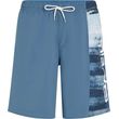 sorts magio o neill retro 19 swimshorts mple photo