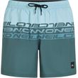 sorts magio o neill cali stripe 16 swimshorts galazio mple photo