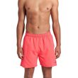 sorts magio arena fundamentals boxer r korali photo
