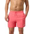 sorts magio speedo essentials 16 korali photo