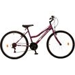 podilato orient comfort lady 26 21s mob photo