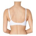 soytien triumph amourette charm wp leyko 70f extra photo 1