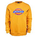 foyter dickies harrison sweatshirt moystardi extra photo 3