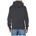 hoodie superdry cl canvas m2010422a anthraki melanze extra photo 1