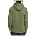 hoodie quiksilver primary eqyft04453 xaki extra photo 1