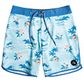 bermoyda quiksilver surfsilk scallop 19 eqybs04654 galazio extra photo 3