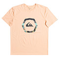 t shirt quiksilver uprise eqyzt06663 roz extra photo 2