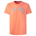 t shirt pepe jeans alessio pm508256 portokali extra photo 3