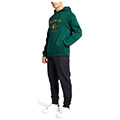 hoodie nautica competition n1g00441 502 skoyro prasino xl extra photo 2