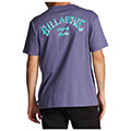 t shirt billabong arch fill abyzt01696 mob extra photo 1