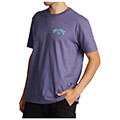 t shirt billabong arch fill abyzt01696 mob extra photo 2