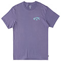 t shirt billabong arch fill abyzt01696 mob extra photo 4