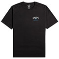 t shirt billabong arch dreamy place ebyzt00107 mayro extra photo 4