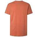 t shirt pepe jeans eggo n basic pm508208 portokali extra photo 5