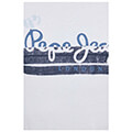 t shirt pepe jeans rafa with brushes logo pm508673 leyko l extra photo 3