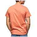 t shirt pepe jeans richme logo print pm508697 portokali m extra photo 1