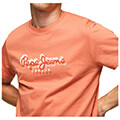 t shirt pepe jeans richme logo print pm508697 portokali m extra photo 2
