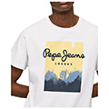 t shirt pepe jeans roslyn pm508713 leyko extra photo 2