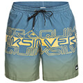 boxer quiksilver everyday wordblock volley 17 eqyjv04005 mple prasino xl extra photo 3