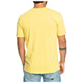 t shirt quiksilver pass the pride eqyzt07275 kitrino extra photo 1