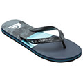 sagionares quiksilver molokai panel aqyl101263 xbbs mple gkri extra photo 1