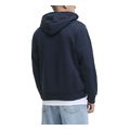 hoodie jack jones jjyuki 12287229 skoyro mple extra photo 1