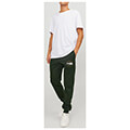 panteloni formas jack jones jpstgordon jjmikk 12236876 skoyro prasino extra photo 3