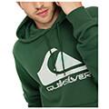 hoodie quiksilver big logo eqyft04450 skoyro prasino extra photo 2