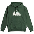 hoodie quiksilver big logo eqyft04450 skoyro prasino extra photo 3