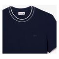 t shirt lacoste pique stripe collar th8174 166 skoyro mple extra photo 3