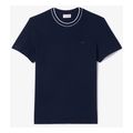 t shirt lacoste pique stripe collar th8174 166 skoyro mple extra photo 4