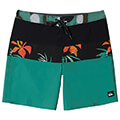 magio bermoyda quiksilver surfsilk panel 18 aqybs03656 mayro prasino 30 extra photo 3