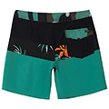 magio bermoyda quiksilver surfsilk panel 18 aqybs03656 mayro prasino 30 extra photo 4