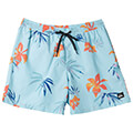 magio boxer quiksilver everyday mix volley 15 aqyjv03147 prasino m extra photo 3