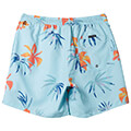 magio boxer quiksilver everyday mix volley 15 aqyjv03147 prasino l extra photo 4