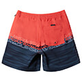 magio boxer quiksilver everyday wordblock volley 17 aqyjv03150 korali mple extra photo 4