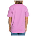 t shirt quiksilver mw mini logo eqyzt07657 mob s extra photo 1