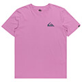 t shirt quiksilver mw mini logo eqyzt07657 mob s extra photo 4