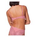soytien triumph amourette charm t psapio milo extra photo 1