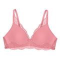 soytien triumph amourette charm t psapio milo extra photo 4