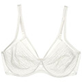 soytien triumph signature sheer w01 ex ekroy extra photo 4
