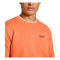 foyter pepe jeans sam pm582703 155 portokali extra photo 2