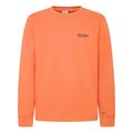 foyter pepe jeans sam pm582703 155 portokali extra photo 3