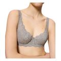 soytien triumph amourette whp anoixto gkri extra photo 2 soytien triumph amourette whp anoixto gkri extra photo 2