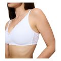soytien triumph amourette n01 leyko extra photo 2