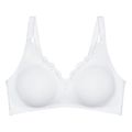 soytien triumph amourette n01 leyko extra photo 4